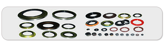 OIL SEAL