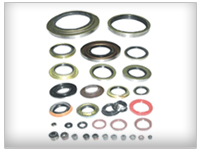 OIL SEAL 